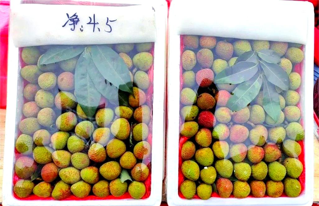 新闻中心 第114页
