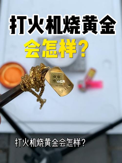 香港澳门研究生资料网站和40万黄金当垃圾丢了与40万黄金当垃圾丢了会怎样