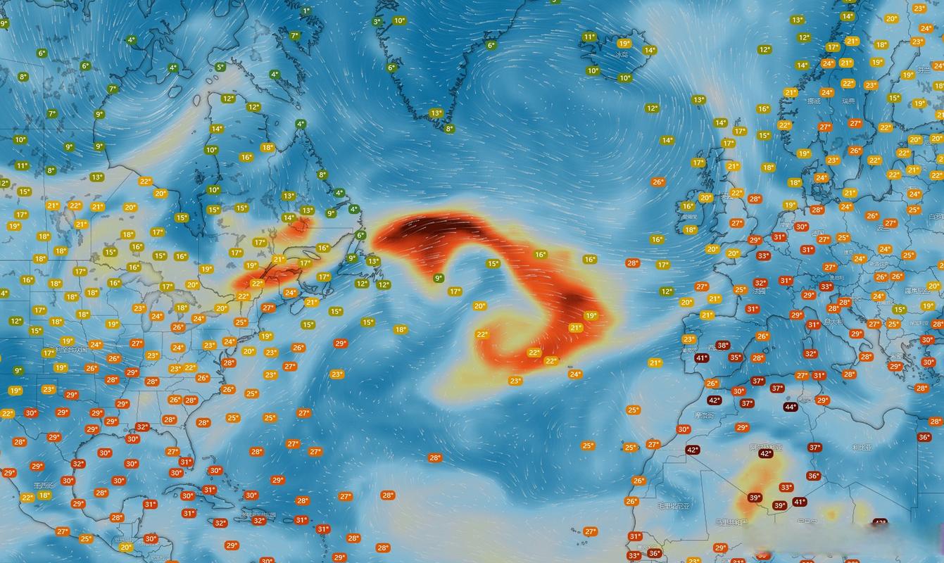 新澳2025天天正版资料和加拿大多地野火肆虐与加拿大多地野火肆虐进入紧急状态