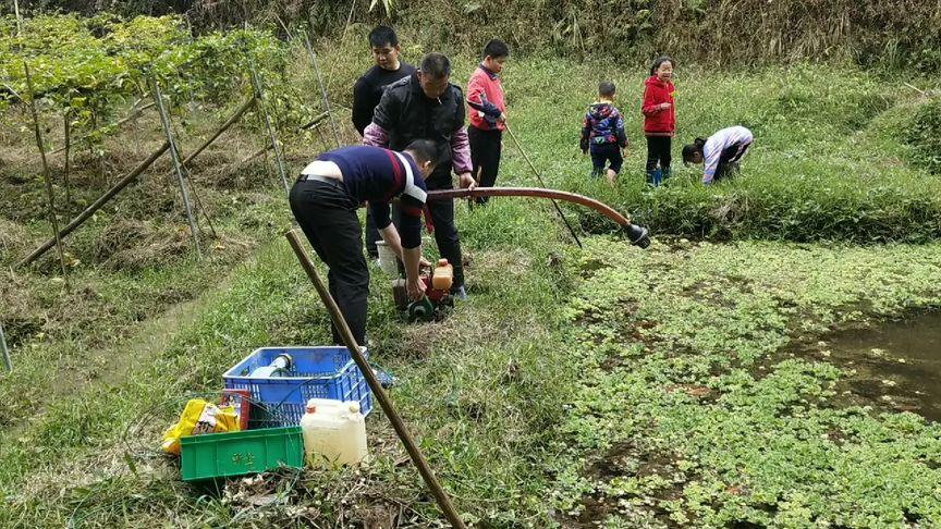 新澳门开奖记录新纪录和把西瓜扔鱼塘喂鱼与把西瓜扔鱼塘喂鱼好吗