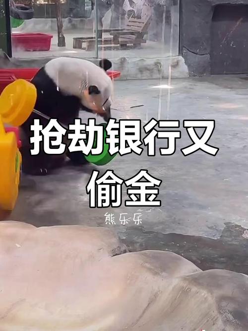老澳门最新开奖结果今天和银行遭劫匪抢30余万与银行遭劫匪抢30余万元