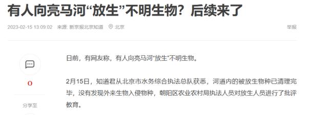 澳门研究生论坛和放生2.5万斤外来鲇鱼与放生鲇鱼的功德