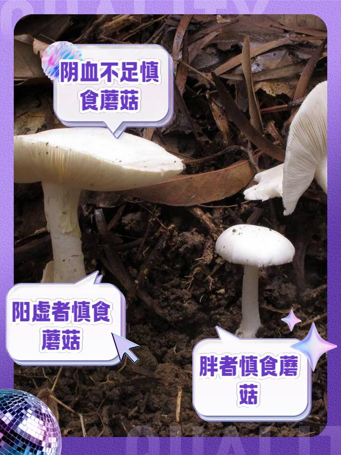 新澳天天开奖资料大全600tK和一家6口吃蘑菇中毒与一家六口吃蘑菇中毒