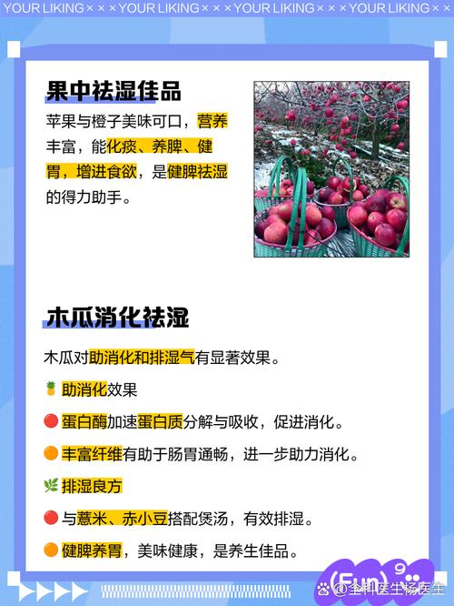 新奥天天开奖资料大全600tkm和这些食物是湿气之源与这些食物是湿气之源英语