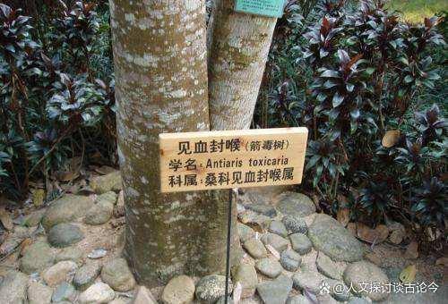 新澳门2025年正版免费和用砒霜毒死漂亮女生与砒霜毒药