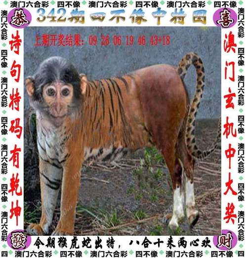 新澳2025天天正版资料和商家互砸西瓜丢荔枝与