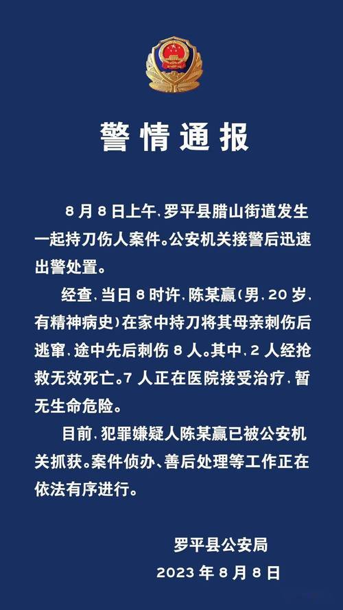 新澳门2025年开奖记录和停车失误致1死2伤与男子停车失误